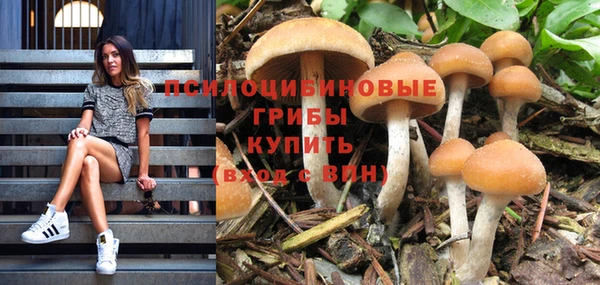 бошки Инта