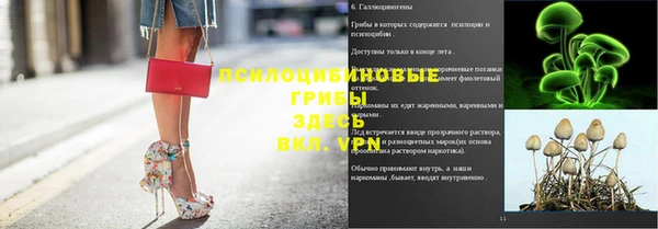 мдпв Иннополис
