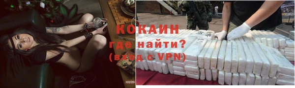 бошки Инта