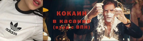 бошки Инта