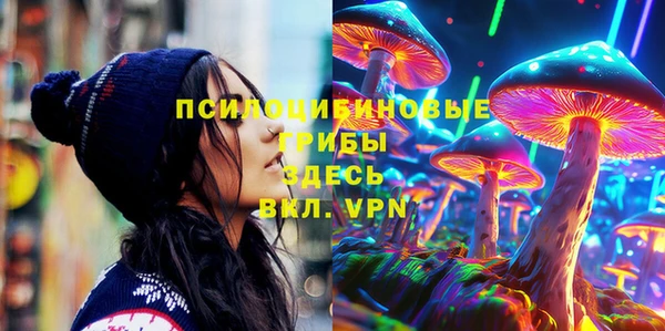 мдпв Иннополис