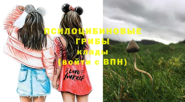 бошки Инта