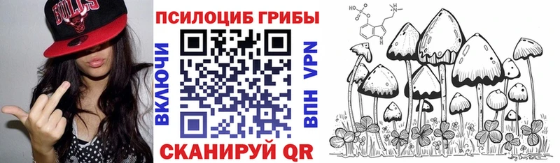 Псилоцибиновые грибы мицелий  Сельцо 